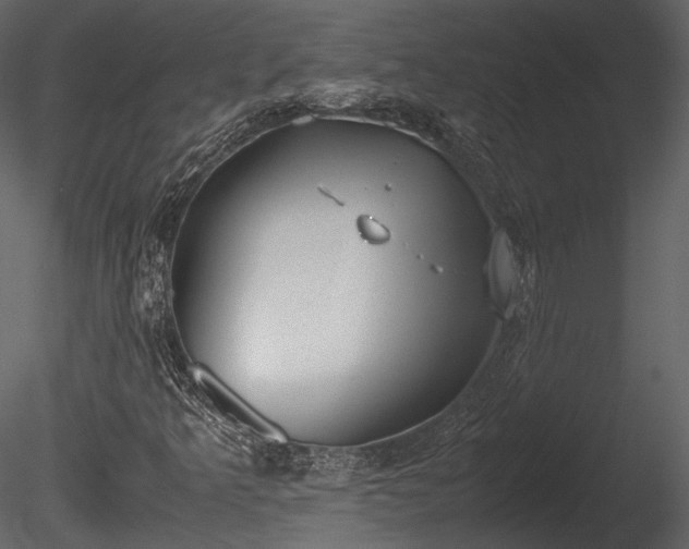 X0000085251349200703161241