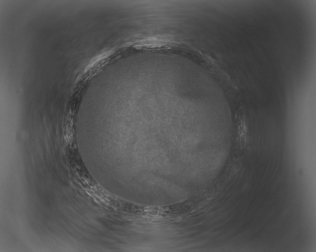 X0000085251350200703161241