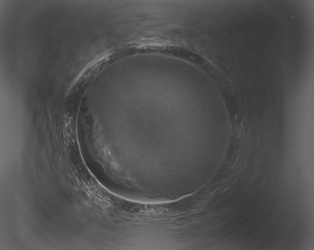 X0000085251351200703161241