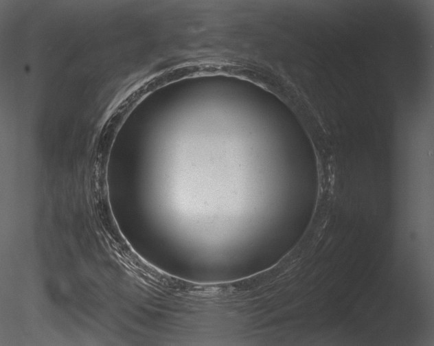 X0000085251352200703161241