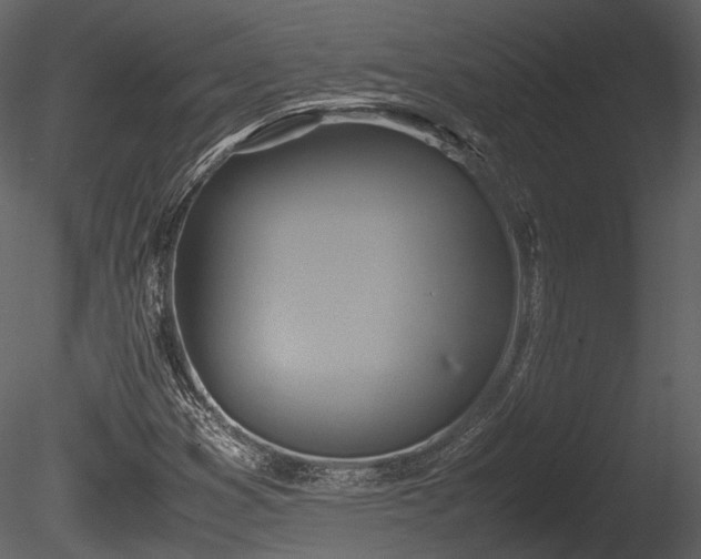 X0000085251353200703161241