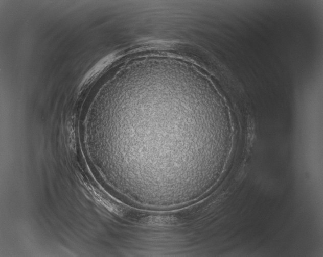 X0000085251354200703161241