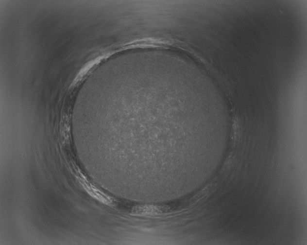 X0000085251355200703161241