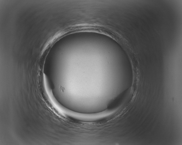 X0000085251357200703161241