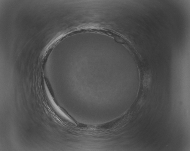 X0000085251359200703161241