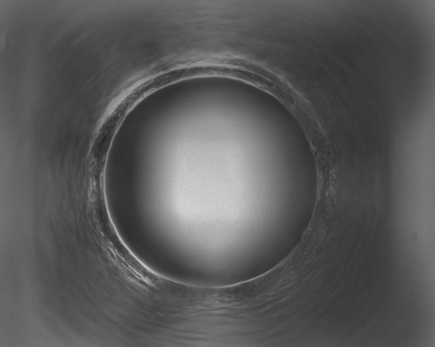 X0000085251360200703161241