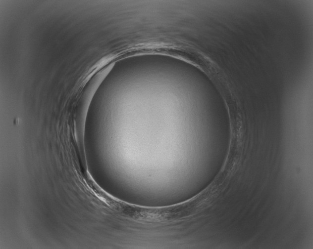 X0000085251361200703161241