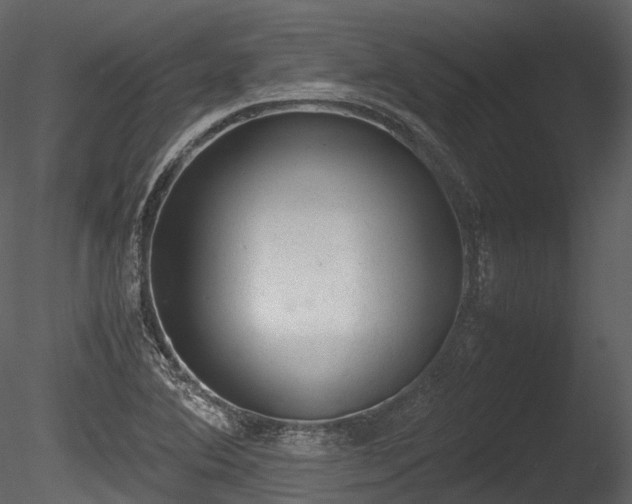 X0000085251364200703161241