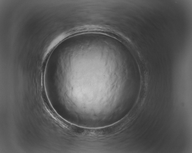 X0000085251365200703161241