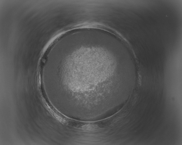 X0000085251368200703161241