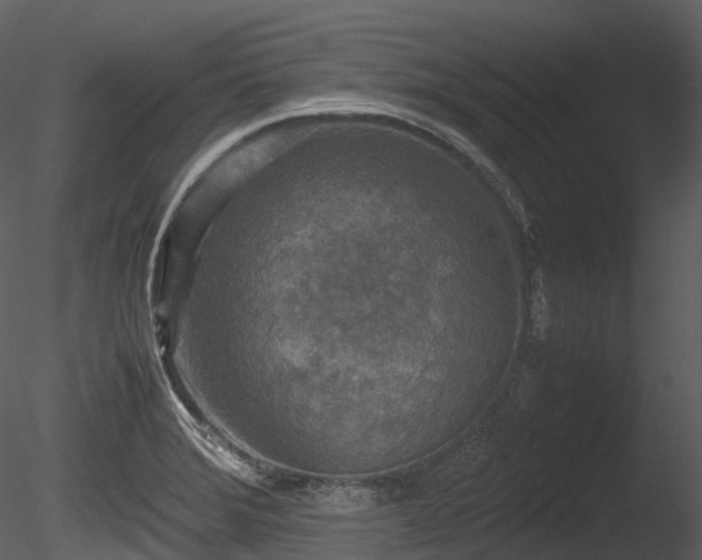 X0000085251372200703161241