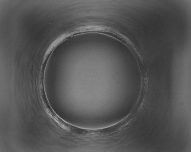 X0000085251373200703161241