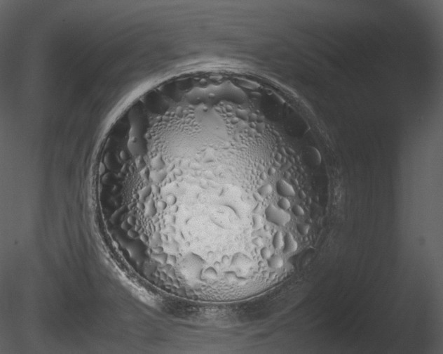 X0000085251375200703161241