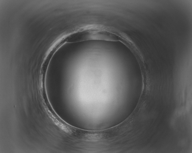 X0000085251376200703161241