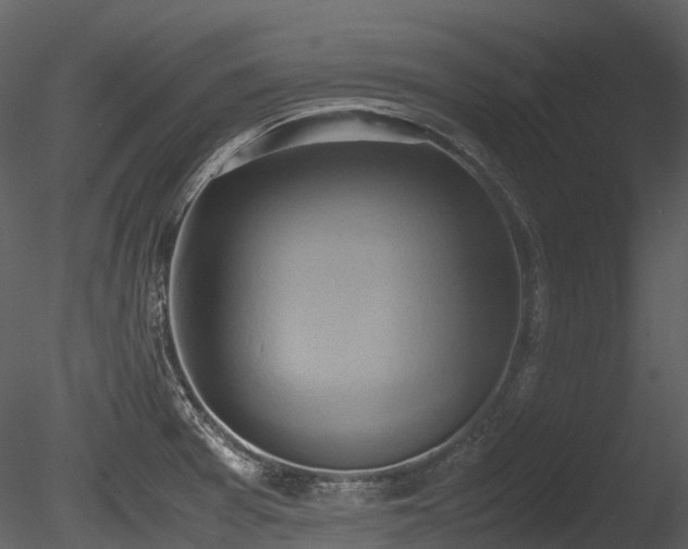 X0000085251377200703161241