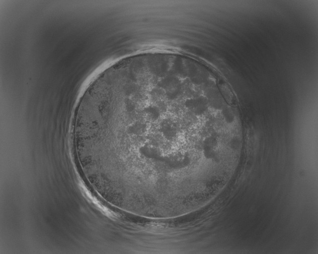 X0000085251379200703161241