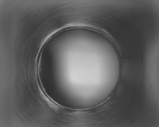 X0000085251380200703161241