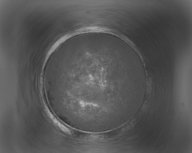 X0000085251381200703161241