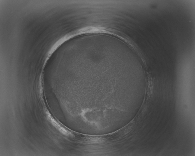 X0000085251382200703161241