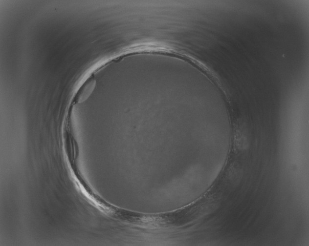 X0000085251383200703161241