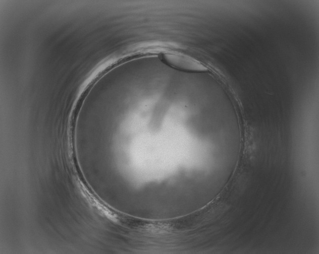 X0000085251384200703161241