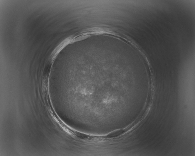 X0000085251385200703161241