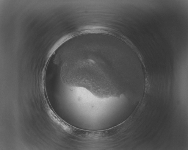 X0000085251386200703161240