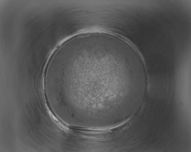 X0000085251388200703161240