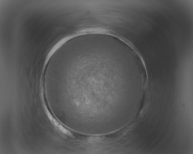 X0000085251389200703161240