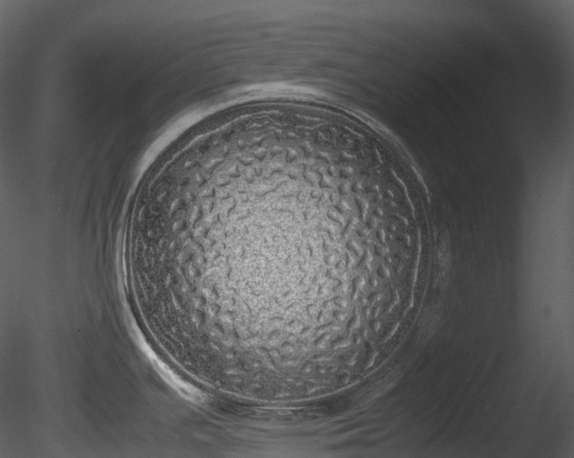 X0000085251391200703161240