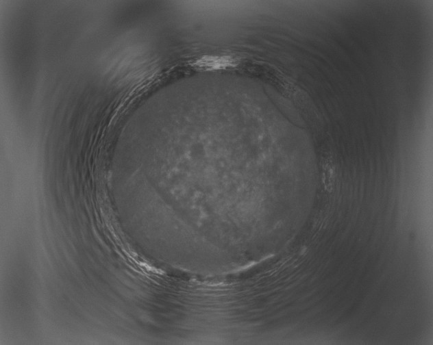 X0000085251393200703161240