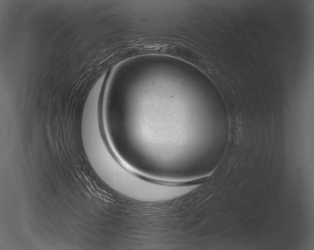 X0000085251394200703161240