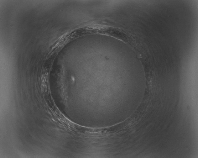 X0000085251397200703161240