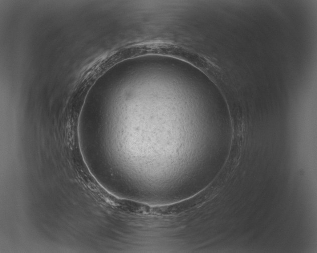 X0000085251398200703161240