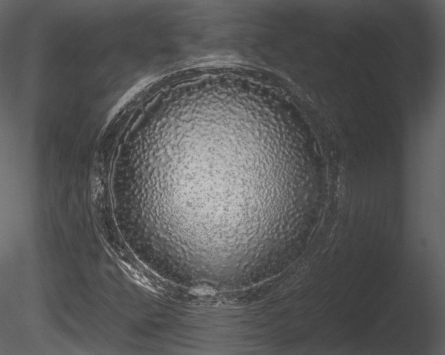 X0000085251400200703161240