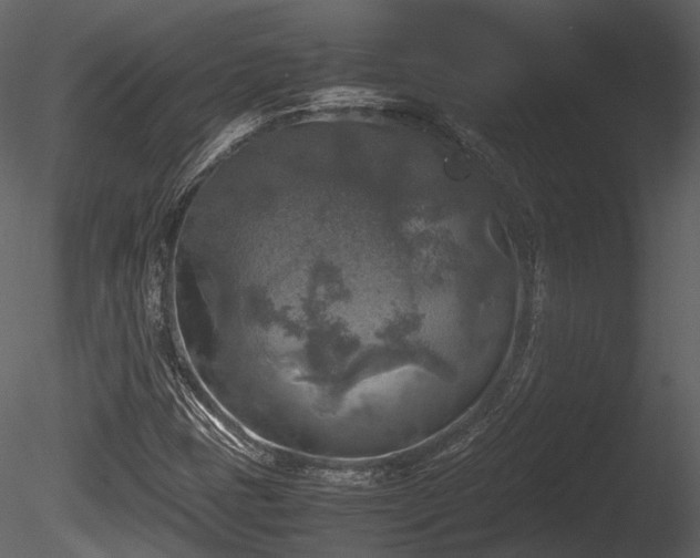 X0000085251401200703161240