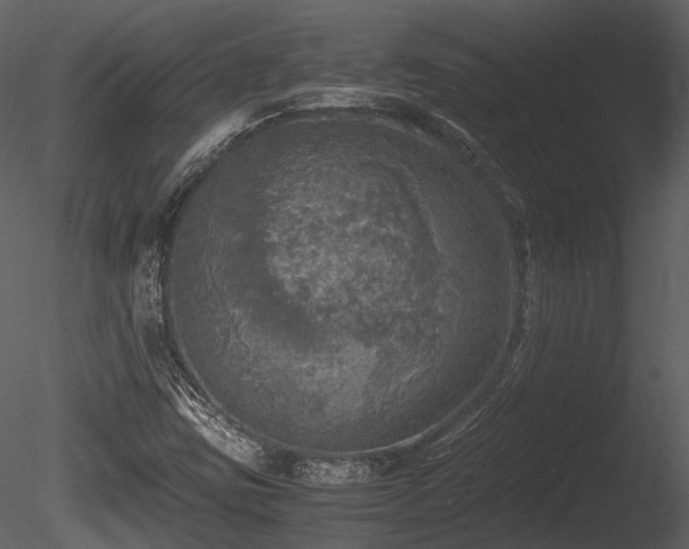 X0000085251403200703161240