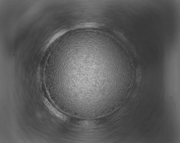 X0000085251404200703161240