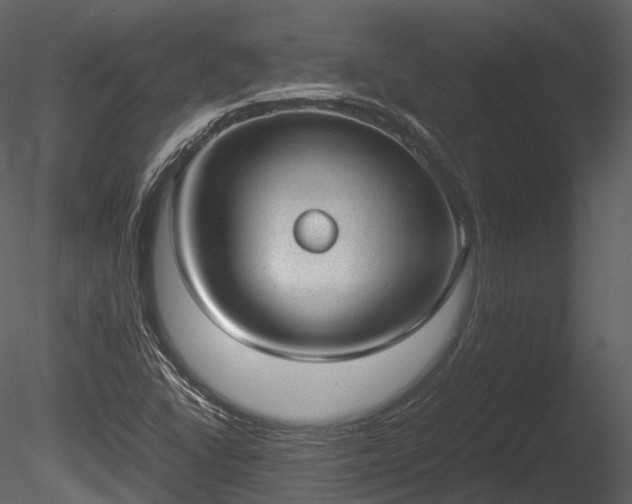 X0000085251406200703161240