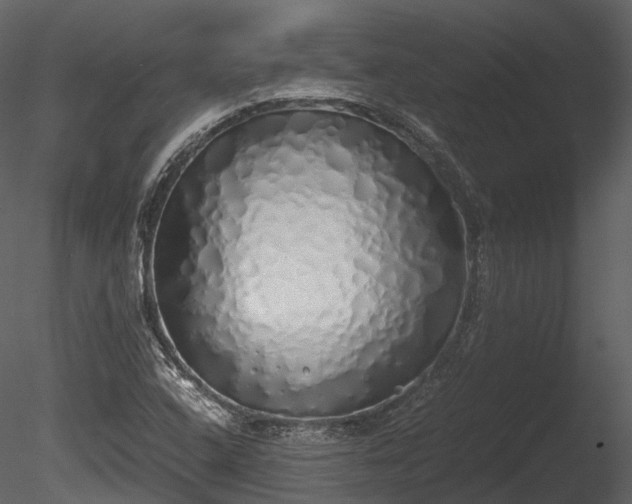 X0000085251408200703161240