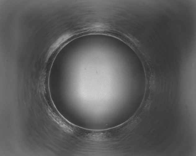 X0000085251410200703161240