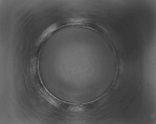 X0000085251411200703161240