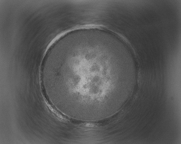 X0000085251412200703161240