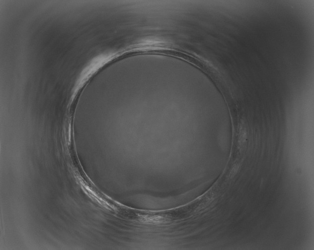 X0000085251413200703161240