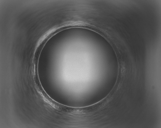 X0000085251414200703161240