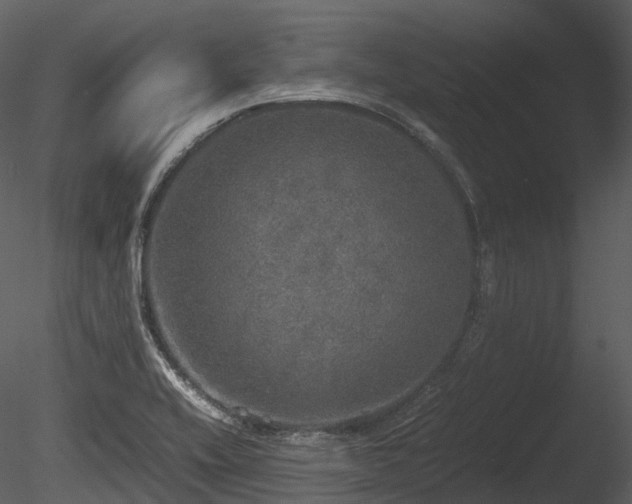 X0000085251416200703161240