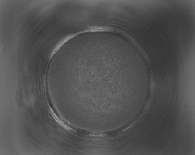 X0000085251417200703161240