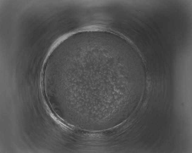 X0000085251421200703161240