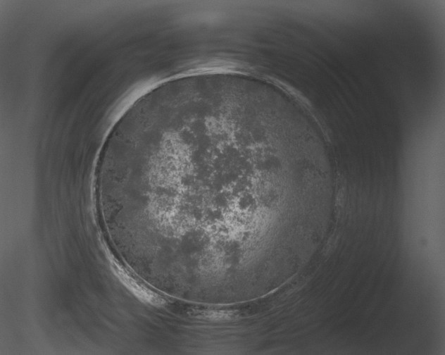 X0000085251423200703161240