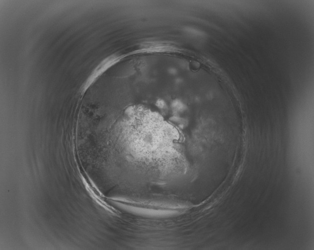 X0000085251425200703161240